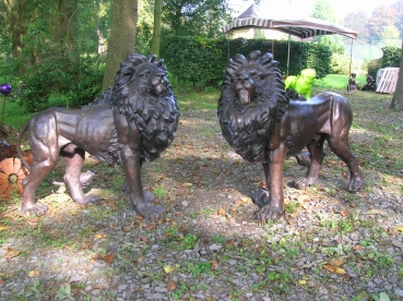 B23: koppel leeuwen brons