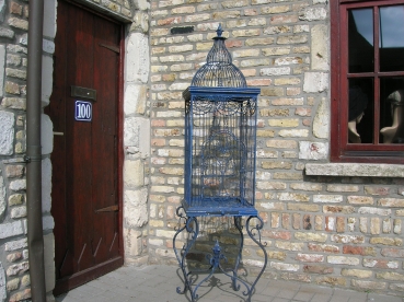 S49:Vogelkooi