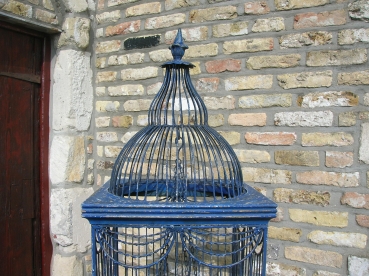S51: