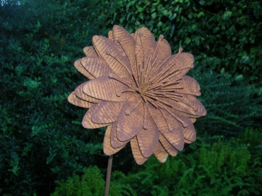 S58