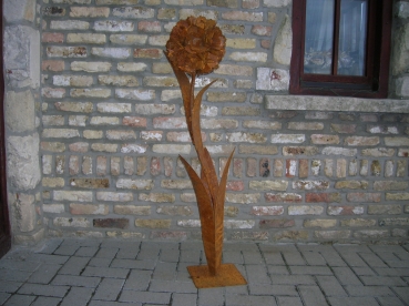 S70
