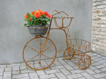 S95: decoratieve fiets met bloemmanden.